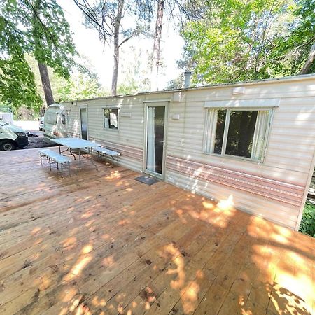 Your Camp Kormoran Holender Hel Exterior foto
